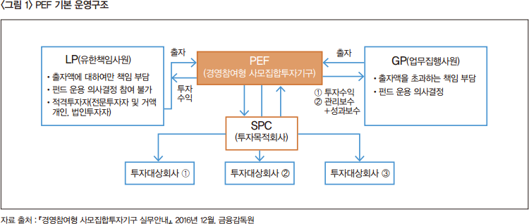 PEF 구조.png