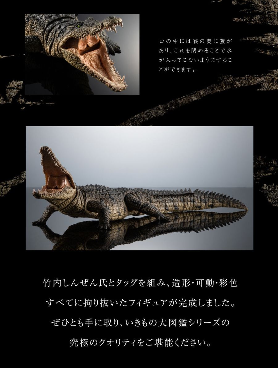 20210805_animalpicturebookultimate_nilecrocodile_xldjcd_08.jpg