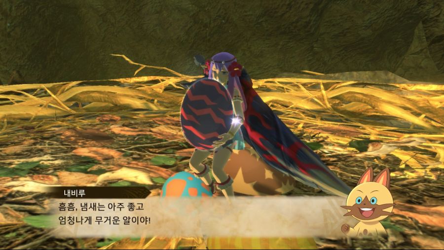 신멸인 패턴 및 알 모양_1.jpg