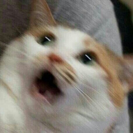 [우주의영웅-새로운진실들] 히맨 새로운 신작_15.jpg