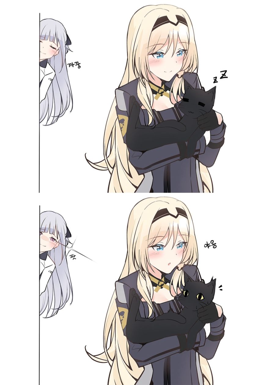 소녀전선 구사와 고양이