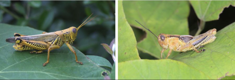 대한민국 큰일났다고 외치다 침묵하는 유튜버_4.png