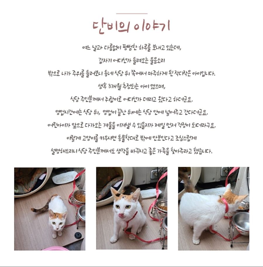 이거 5만원은 왜 받는거야?_1.jpg