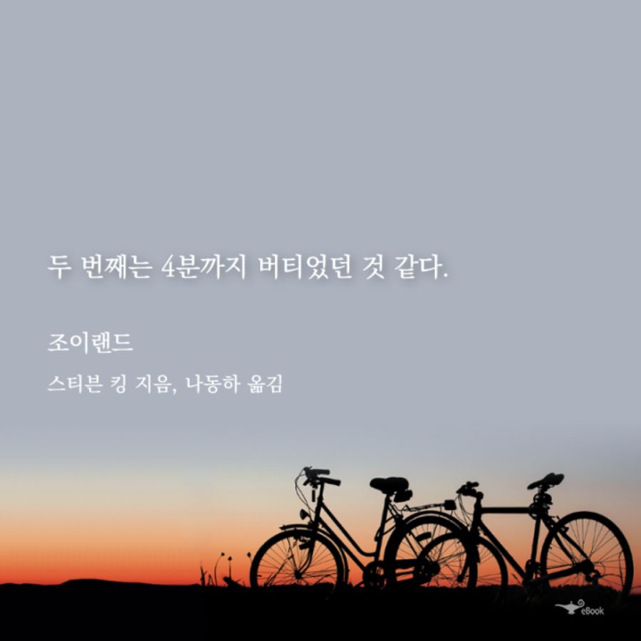 표지 낚시가 없는 스티븐 킹 소설, 조이랜드📚_3.png