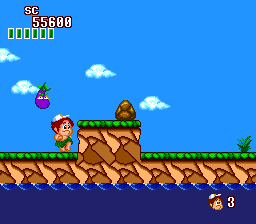 95499-new-adventure-island-turbografx-16-screenshot-the-eggplant.png