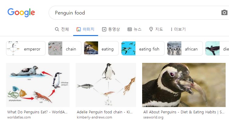 펭귄 고기를 .. 아무도 안먹는 이유.jpg_1.jpg