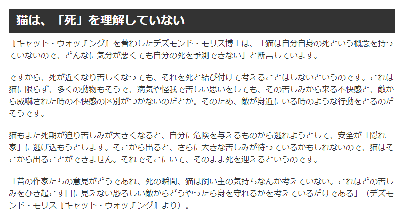 고양이가 죽기 전에 필사적으로 몸을 감추려는 이유.jpg_1.png