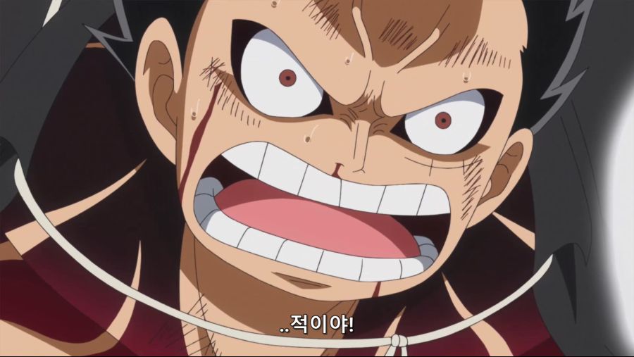 [네코상] One Piece - 858 (TVA 1920x1080 x264 AAC).mkv_20210913_223342.247.jpg