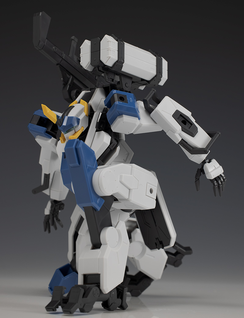 hg_byakuchi045.jpg