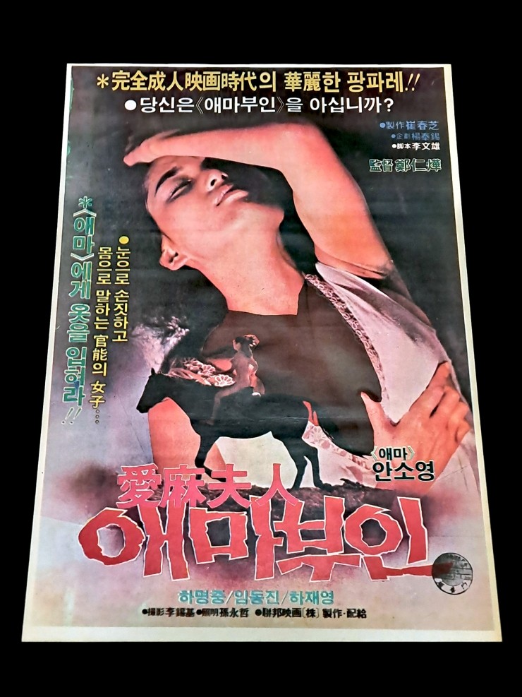 Videogage's Banggusuk Gallery KOREA Movie Poster 100_83.jpg
