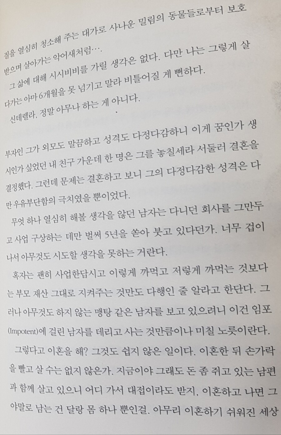 신데렐라 컴플렉스가 현시창인 이유_4.jpg