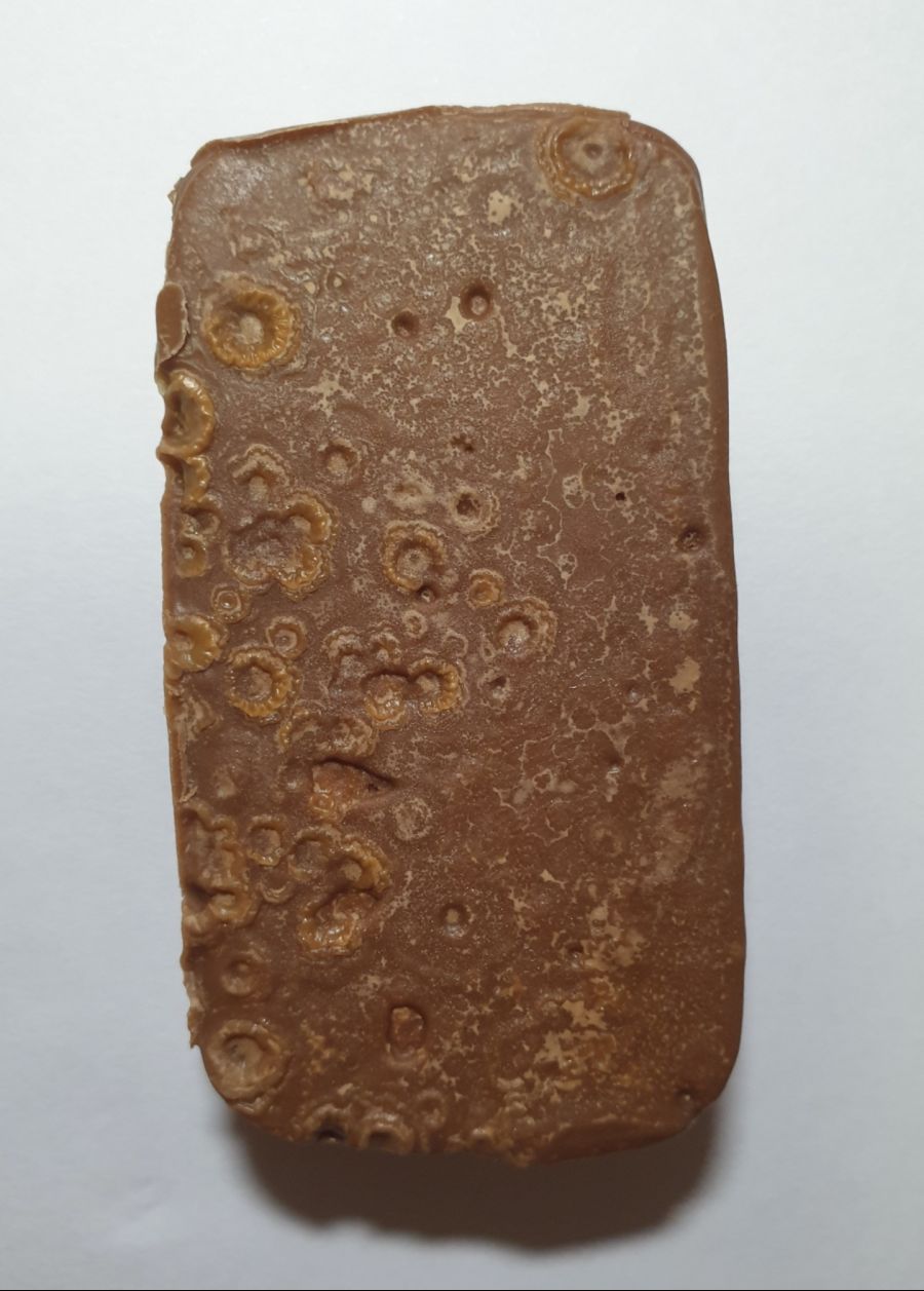 [약간 혐오] 먹으면 안 될것 같은 초콜릿 과자🍫_1.jpg