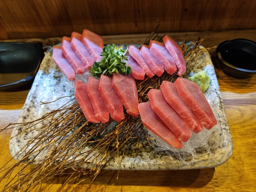 참치는 암만 먹어도 맛을 모르겠다 | 유머 게시판 참치는 암만 먹어도 맛을 모르겠다 | 유머 게시판 | 루리웹