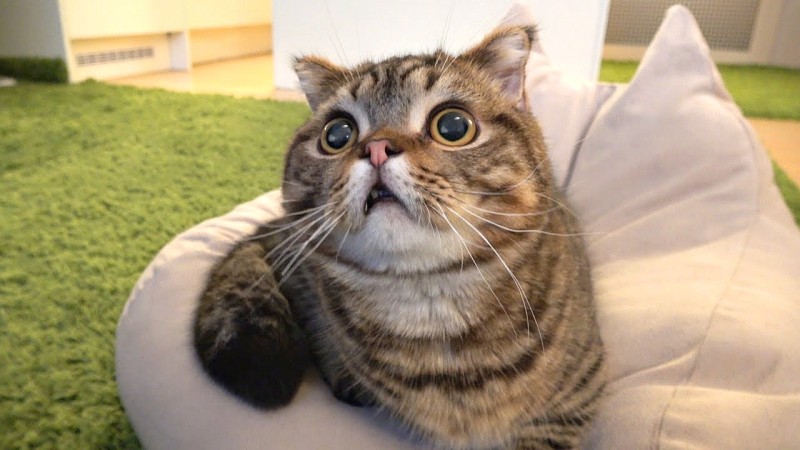 아... ㄹㄹ 너무 좋아 ㅠㅠ.jpg_5.jpg