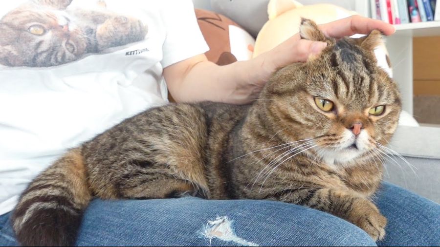 아... ㄹㄹ 너무 좋아 ㅠㅠ.jpg_6.jpg