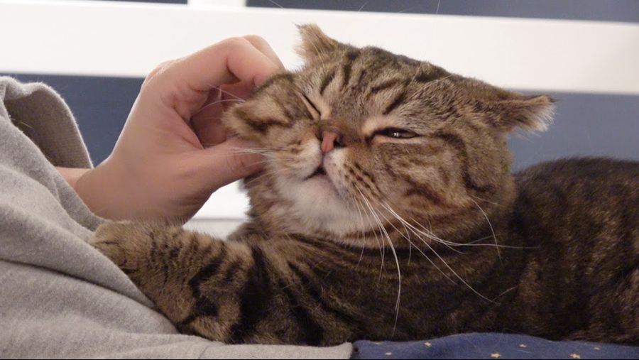 아... ㄹㄹ 너무 좋아 ㅠㅠ.jpg_7.jpg