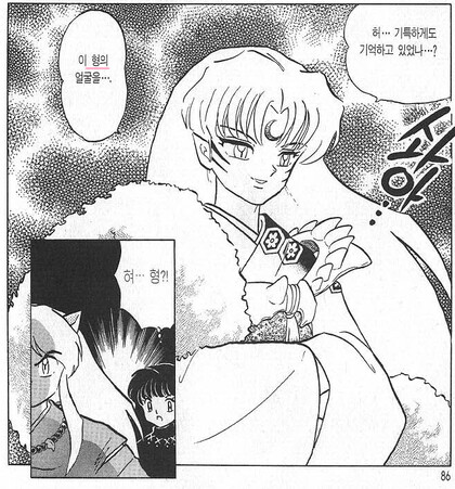 이누야사의 넌씨눈을 답답해하는 셋쇼마루.JPG_1.jpg