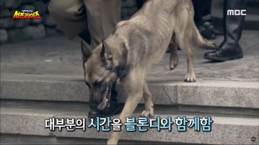 생명을 매우 소중하게 아꼈던 히틀러.jpg_5.jpg