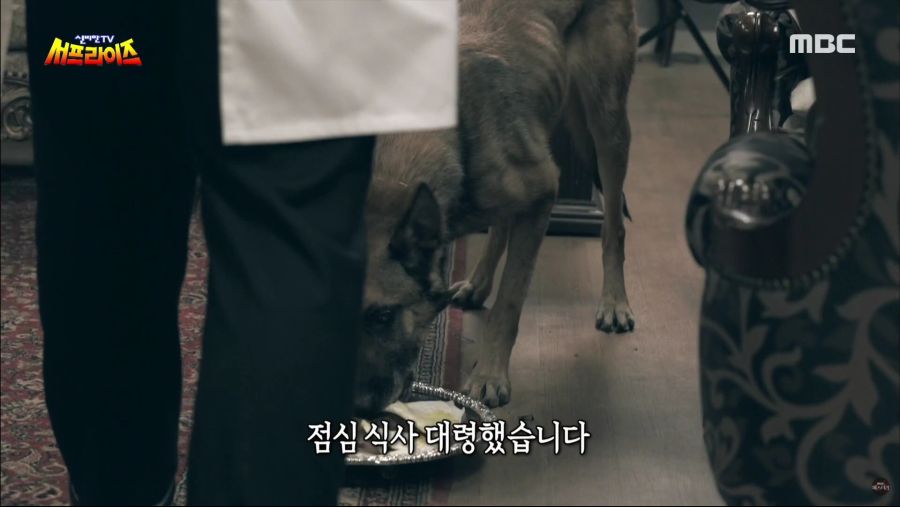 생명을 매우 소중하게 아꼈던 히틀러.jpg_11.jpg