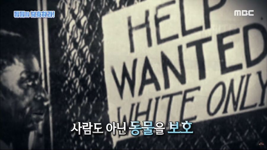 생명을 매우 소중하게 아꼈던 히틀러.jpg_18.jpg