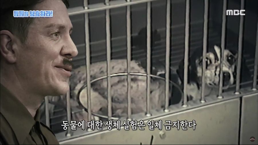 생명을 매우 소중하게 아꼈던 히틀러.jpg_24.jpg