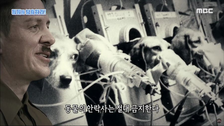 생명을 매우 소중하게 아꼈던 히틀러.jpg_27.jpg