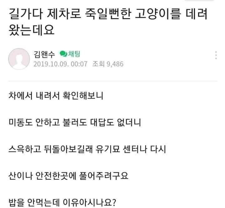 고양이가 밥을 안먹네요.JPG_1.jpg