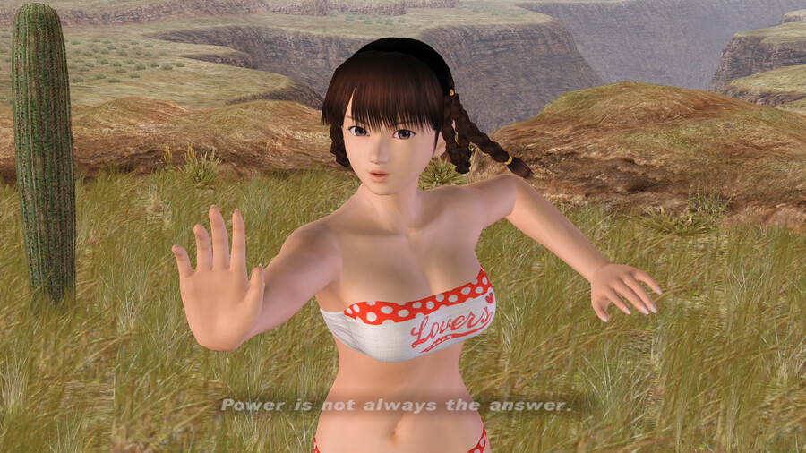 DOA2U 컴페니언 및 일반수영복_5.png