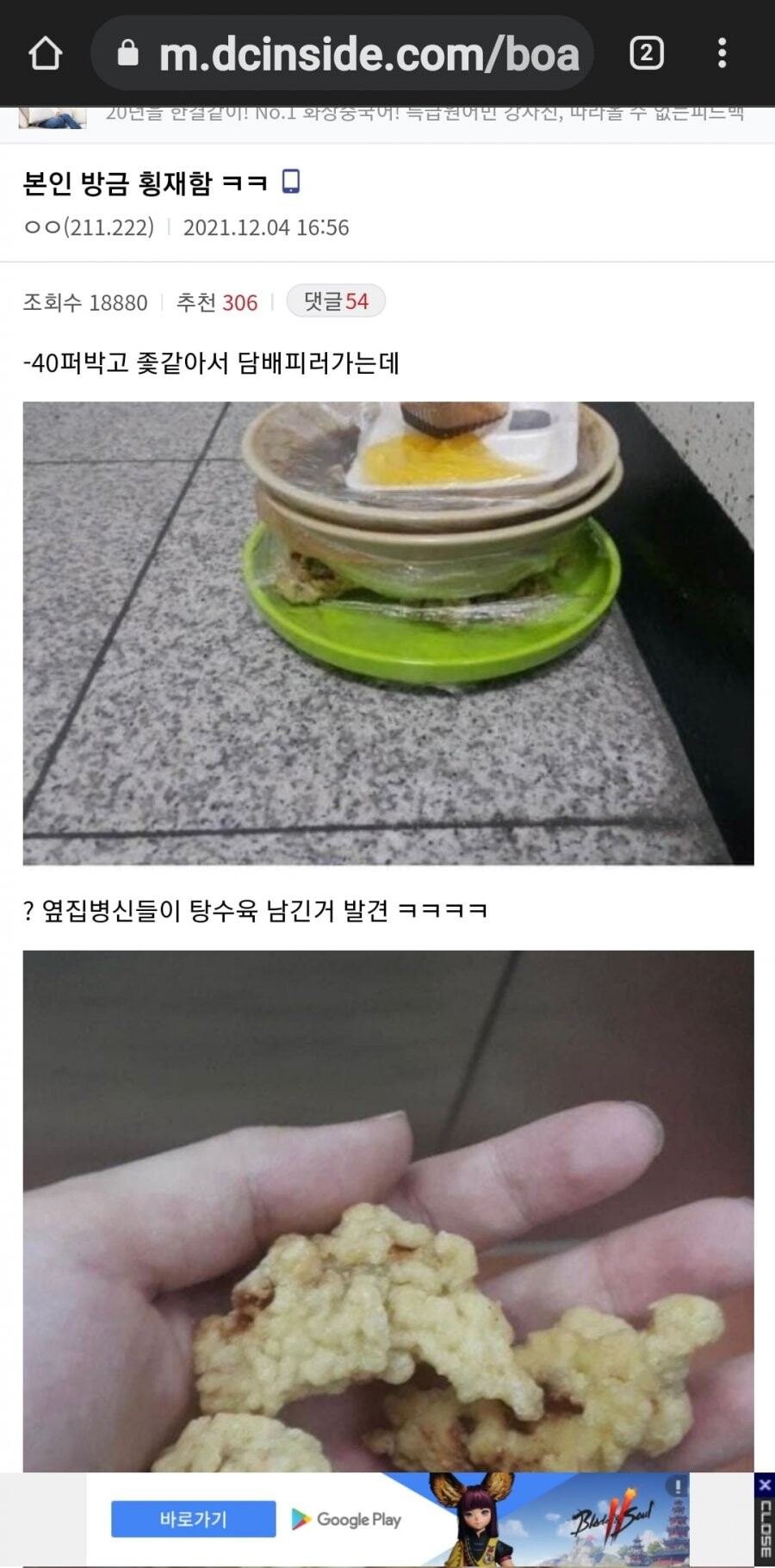 즐거운 비트코인 갤러리