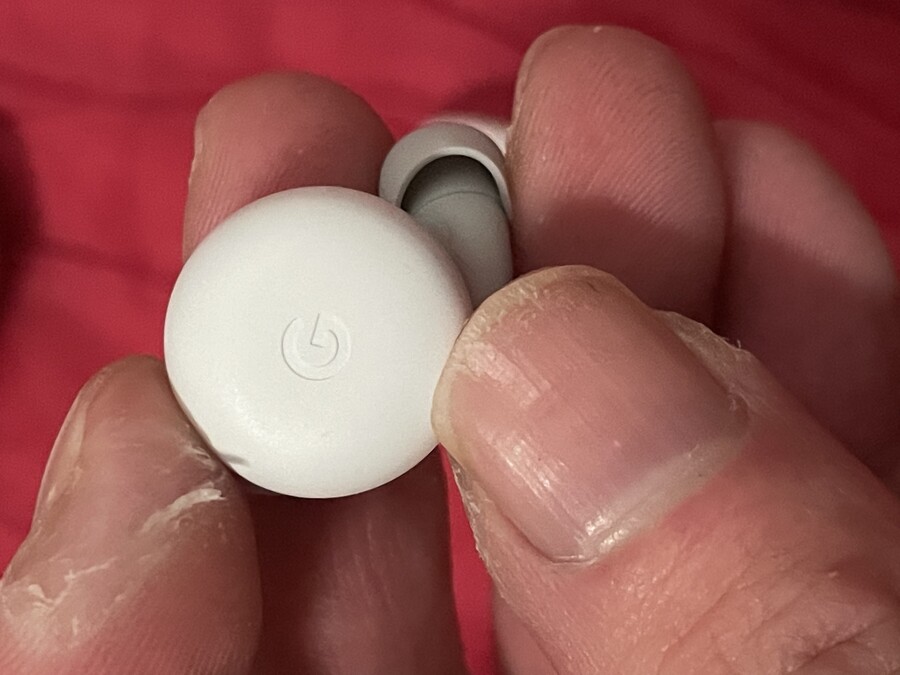 픽셀 버드 A_2.jpeg