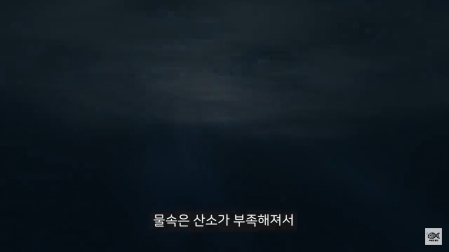 세계 10대 잡초중 하나_15.png