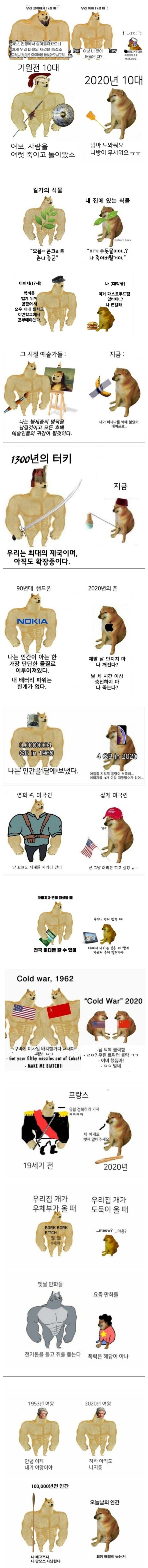 근육 시바견 밈 모음_1.jpg