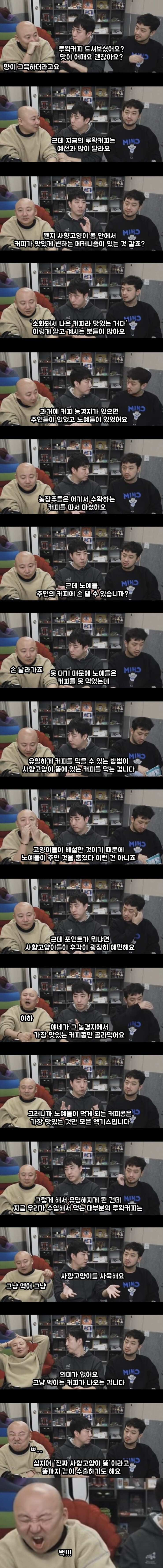 루왁 커피의 진실_1.jpeg