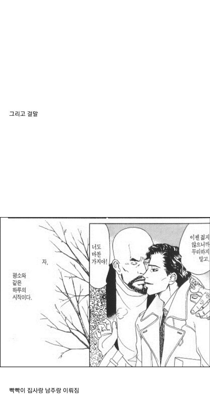정신이 가출하는 일본의 순정 만화_2.jpeg