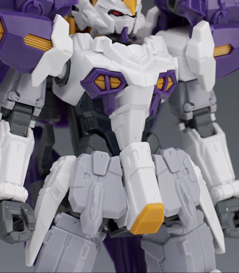 hg_aesculapius014.jpg