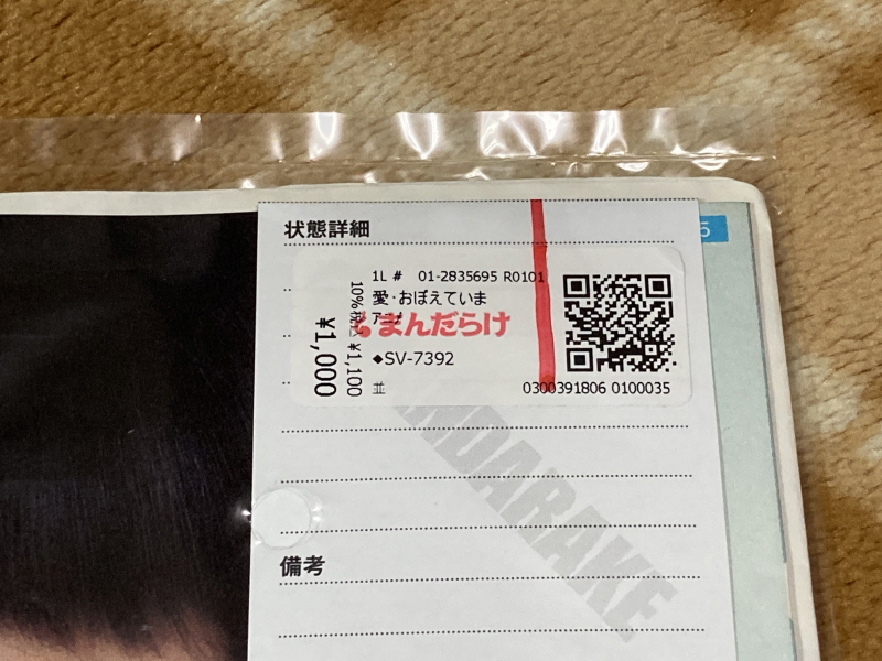 마크로스 "천사의 그림물감" 레코드판 with Game~_5.jpg