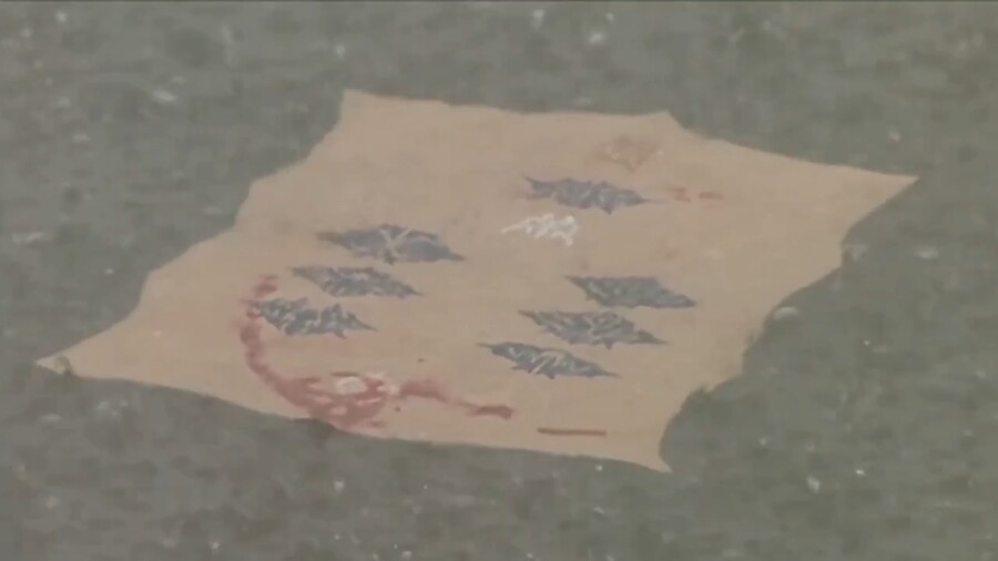 [가면라이더쿠우가]매력적인 장미누님_93.jpg