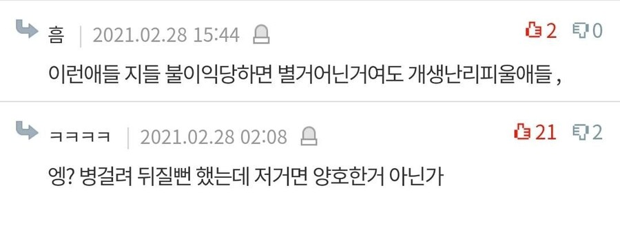 논란이 있던 배민 배달요리 개밥줬던 리뷰.jpg_5.jpg