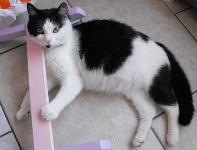 [SCP] 밈적 재해, 다른 말로 정신자적 재해에 대해 이해하기_8.png