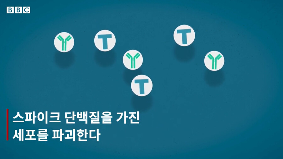BBC) 코로나 백신과 신 암치료 방법_14.png