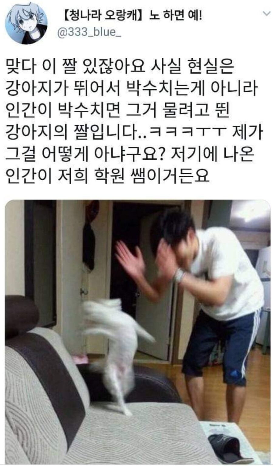 전설의 강아지 잘한다 잘한다 잘한다 박수짤 비하인드 스토리