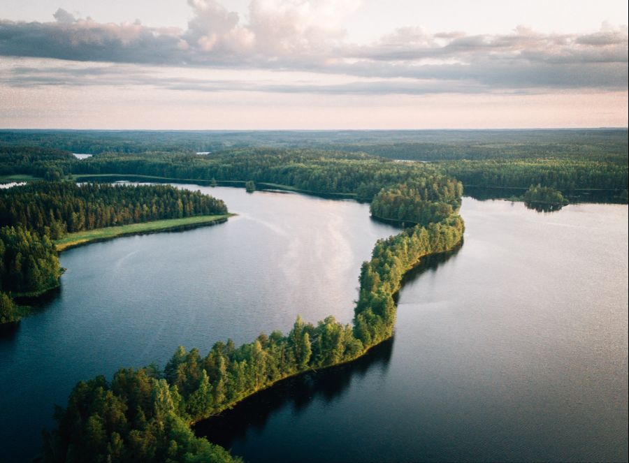 Finland_liesjärvi_nationalpark_2.jpg