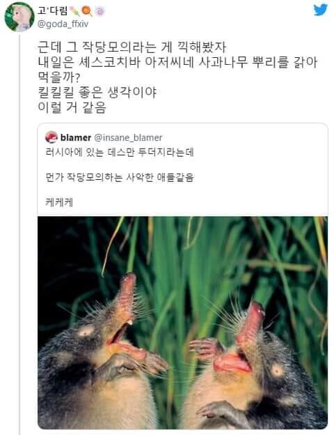 러시아 문학 특 | 유머 게시판 | RULIWEB 러시아 문학 특 | 유머 게시판 | Ruliweb