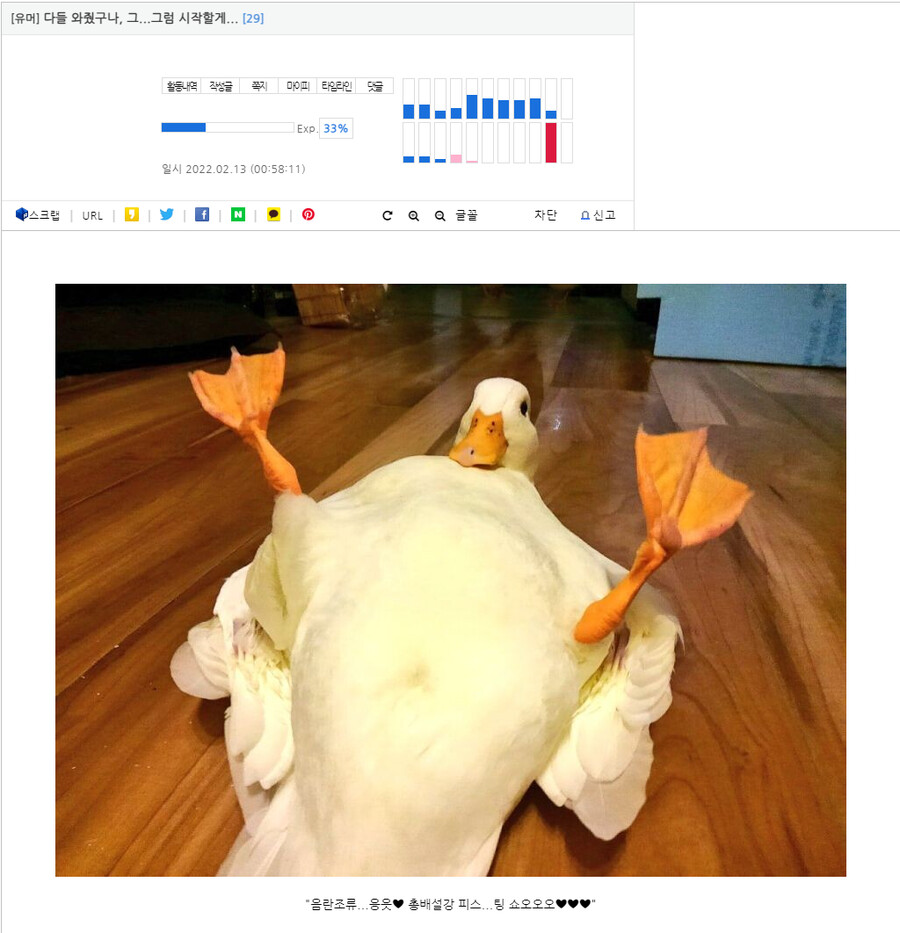 img/22/02/15/17efcf0b3e04f93f6.png