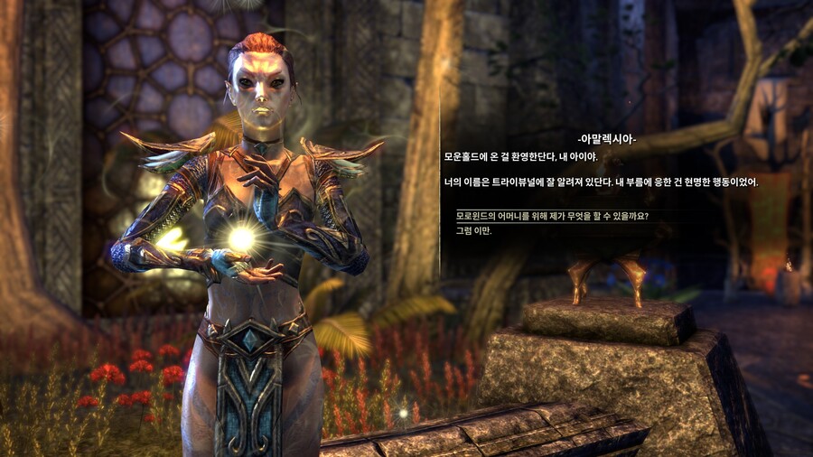 [엘더스크롤] 설정이나 로어 좋아하면 엘더온 해봐도 괜찮음_3.jpg