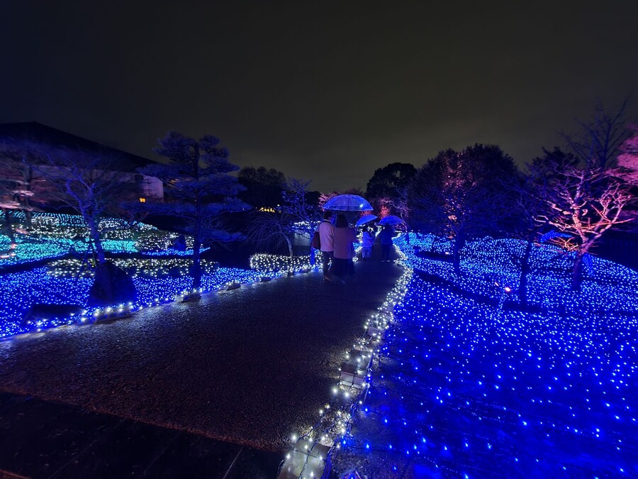 니코의 여행기(22년 2월) 스왑주의_15.jpg