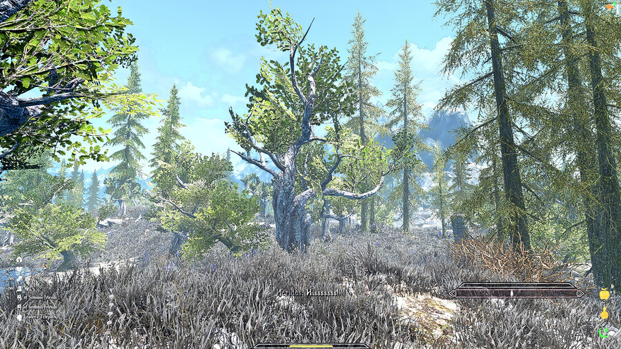 또 다시 폭주중인 스카이림 모더들 근황_8.png