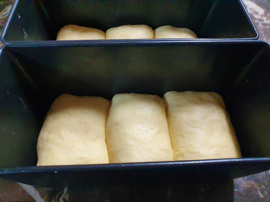 옥수수빵 좋아하는 사람 있냐 | 유머 게시판 옥수수빵 좋아하는 사람 있냐 | 유머 게시판 | 루리웹