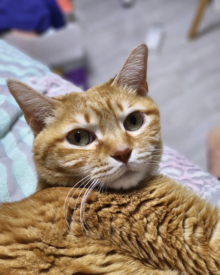 갤22 울트라 카메라 좋네요_1.jpg