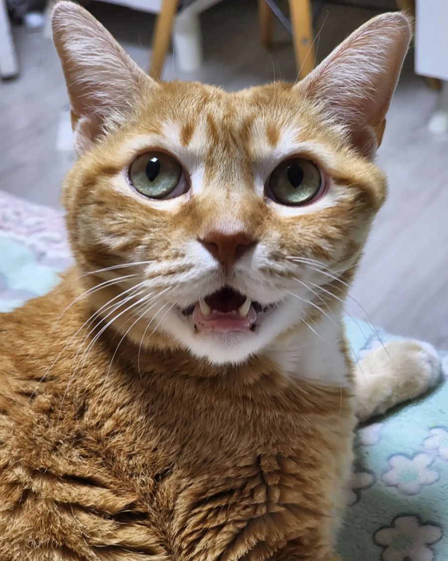 갤22 울트라 카메라 좋네요_2.jpg